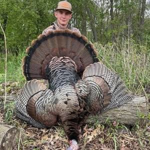 Meet your Posher, Reed